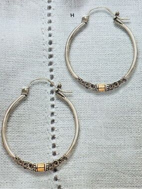 New! Sun and Surf Hoop Earrings